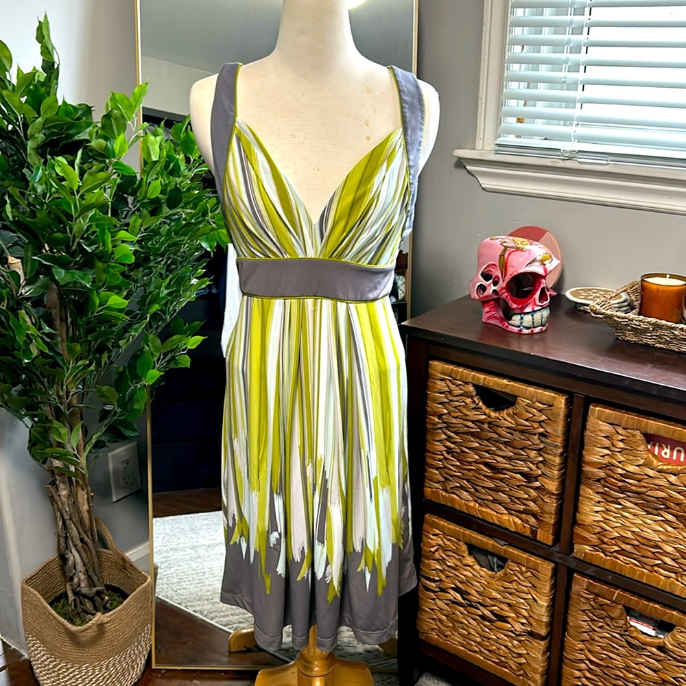 BCBG MaxAzria Green Gray Striped V-neck Day Dress